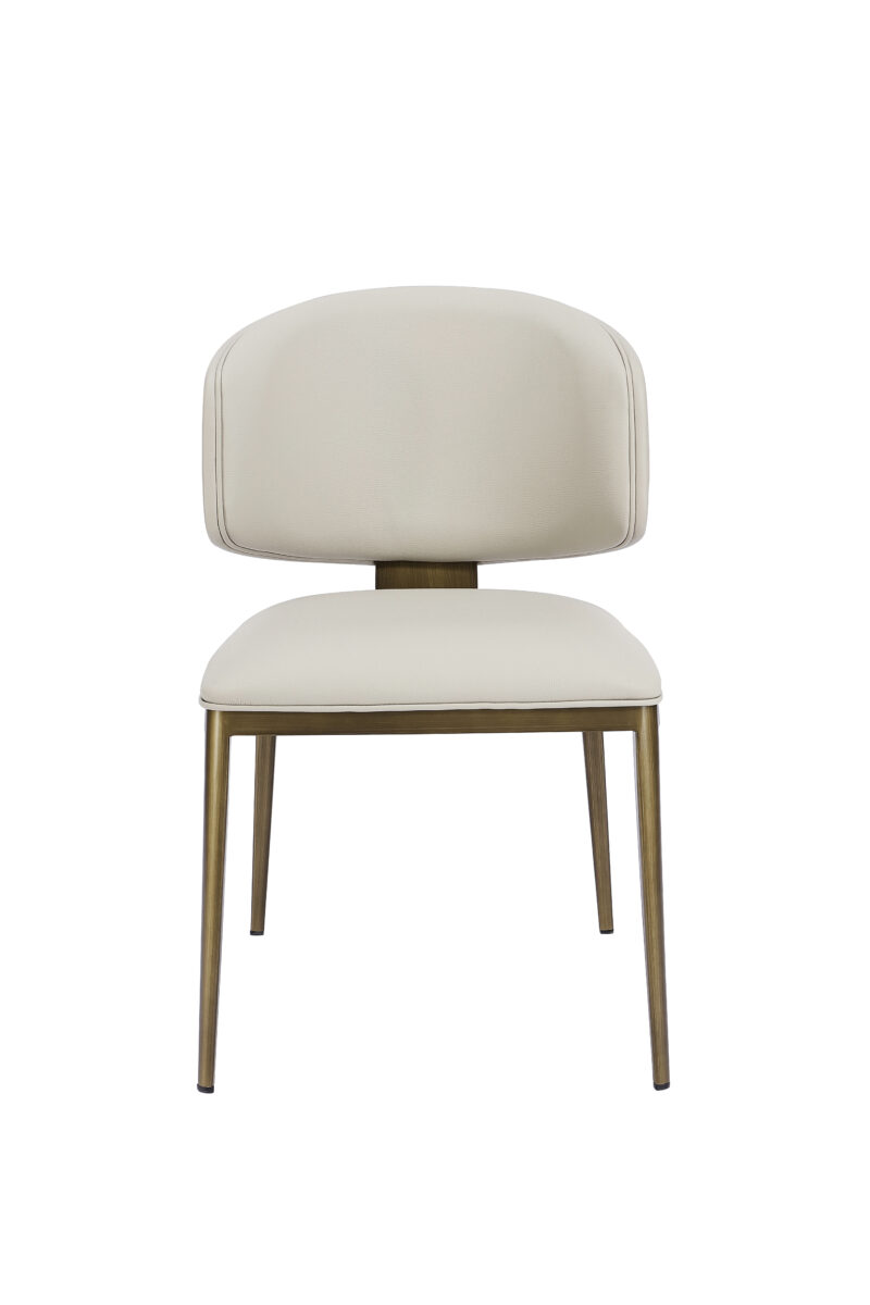 כיסא דגם לני